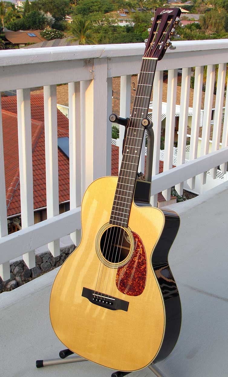 Collings 0002 12-Fret Cutaway Brazilian