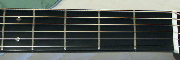 Collings 0002 12-Fret Cutaway Brazilian