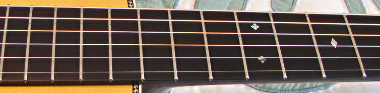 Collings 0002h 12-Fret  Brazilian/Adirondack